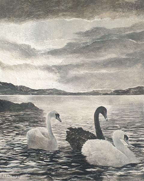 Elegance & Grace - Graham Colthorpe